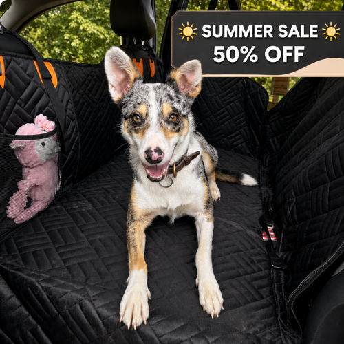 Soluvia - SecureBase Back Seat Cover