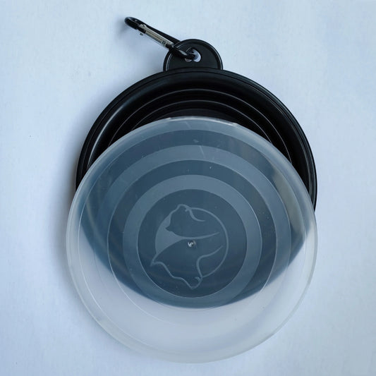 Collapsible travel bowl